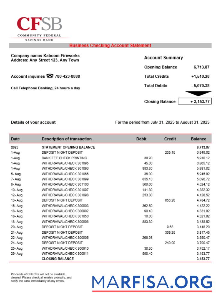 Printable CFSB business firm statement Word and PDF format sample